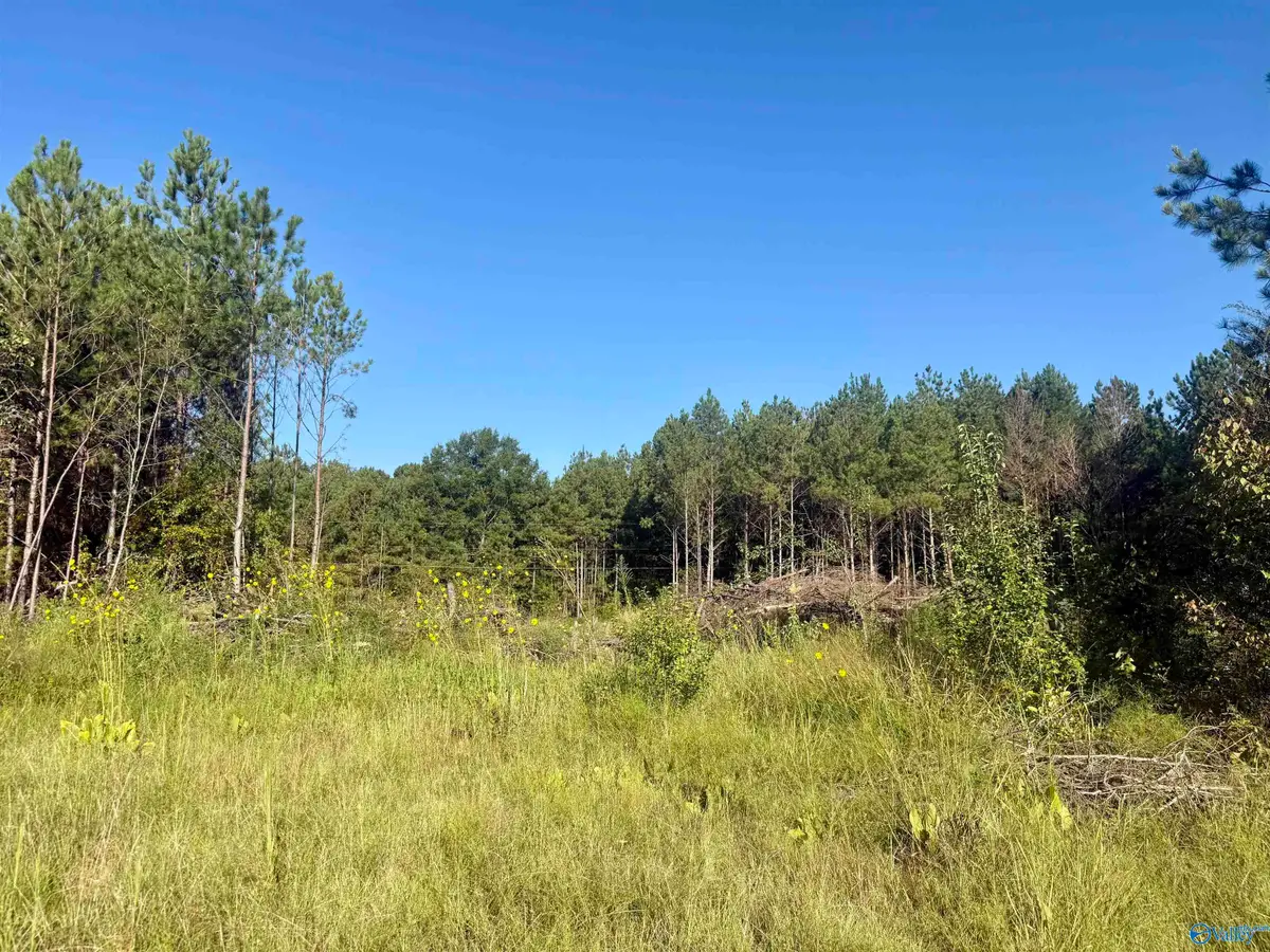 368 Jones Chapel Road, Piedmont, AL 36272 - #1