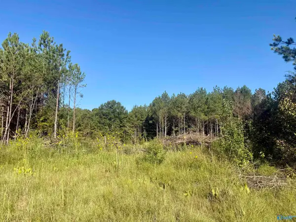 368 Jones Chapel Road, Piedmont, AL 36272