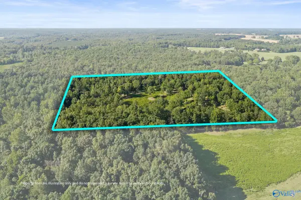 1485 County Road 485, Lexington, AL 35648