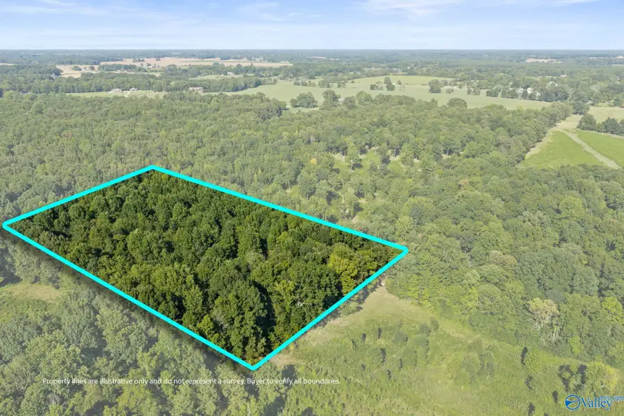 1485 County Road 485, Lexington, AL 35648 - #3
