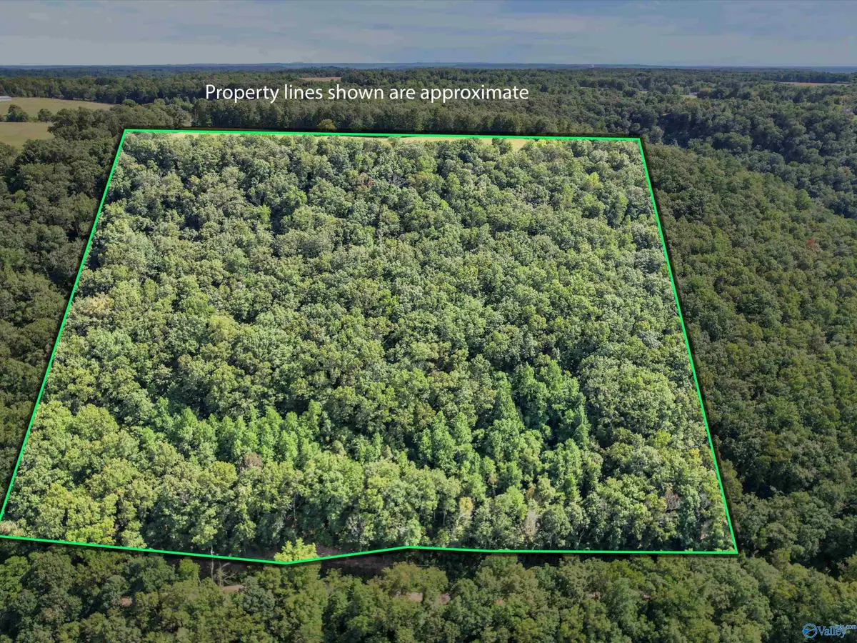 15 Shin Point Road, New Hope, AL 35760 - #1