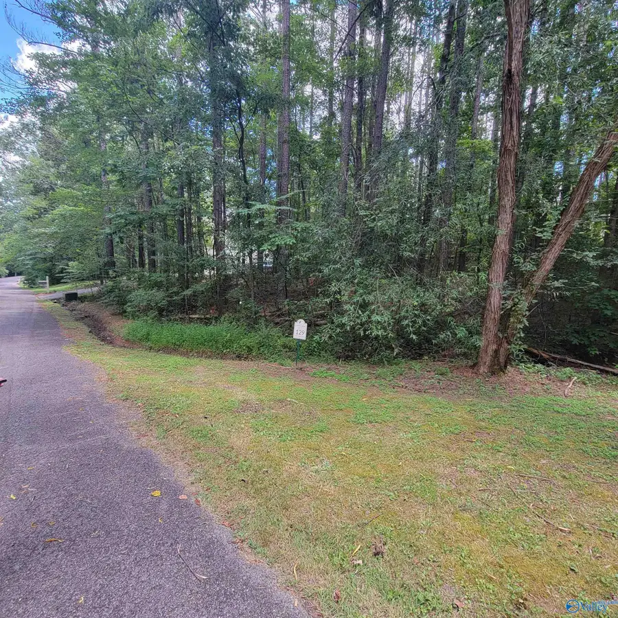 LOT 129 Evergreen Way, Union Grove, AL 35175 - #2