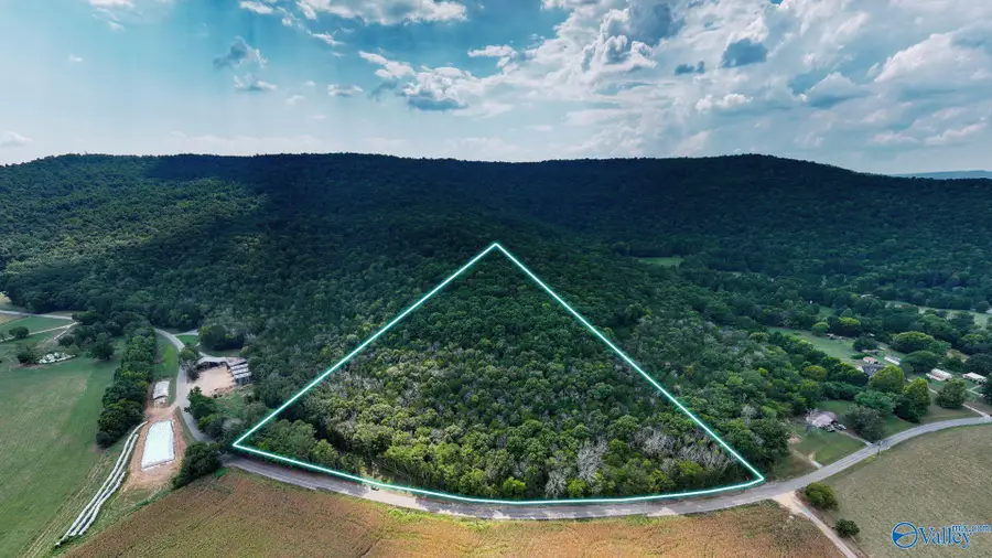 TBD County Rd 42, Hollywood, AL 35752 - #2