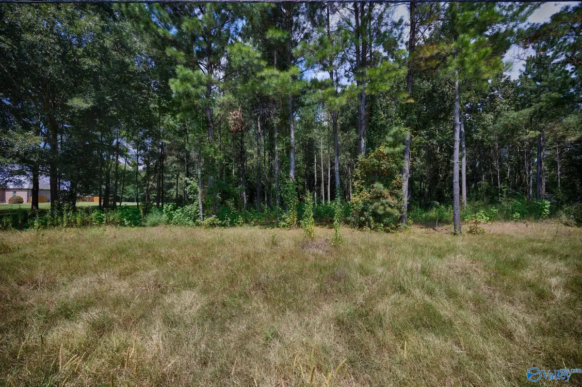 19239 Bick Jock Road, Elkmont, AL 35620 - #1