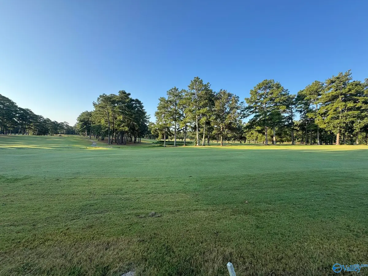 Lot 6 County Road 380, Centre, AL 35960 - #1