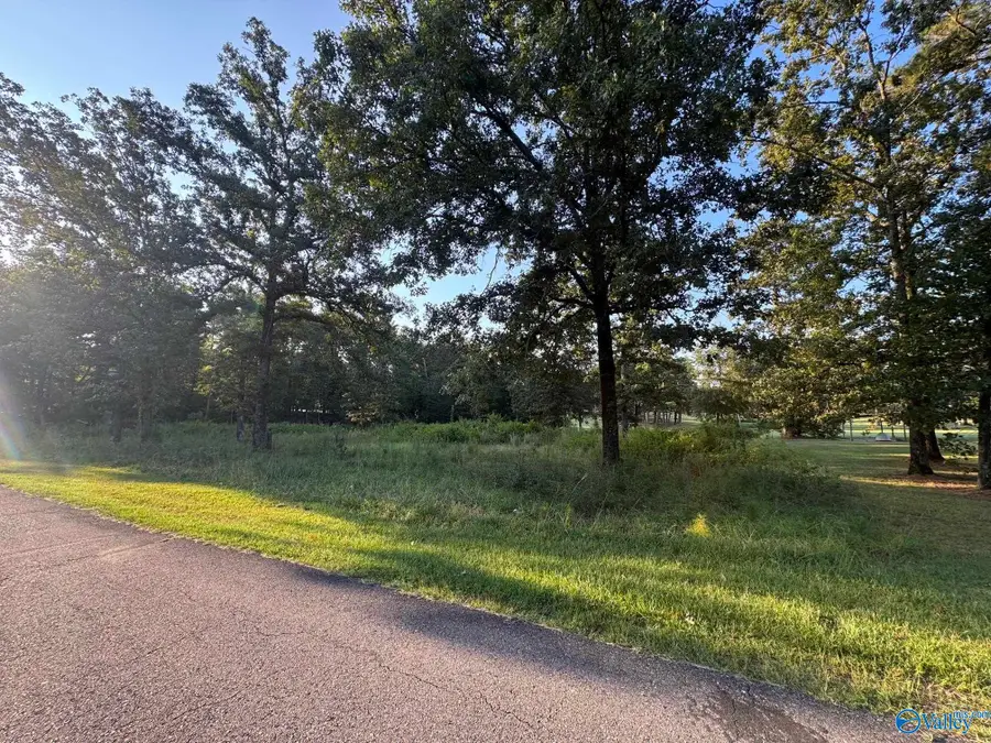 Lot 6 County Road 380, Centre, AL 35960 - #2
