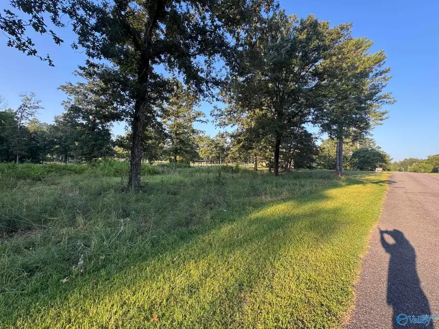 Lot 6 County Road 380, Centre, AL 35960 - #3