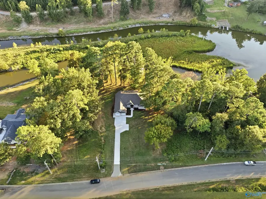 3733 Colonial Drive, Guntersville, AL 35976 - #2