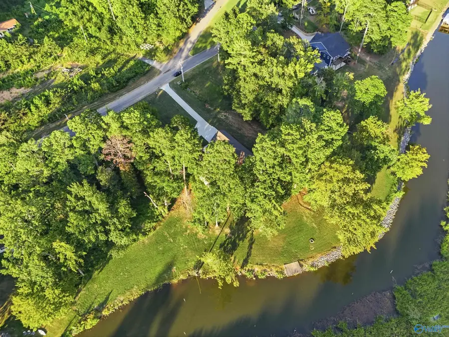 3733 Colonial Drive, Guntersville, AL 35976 - #3