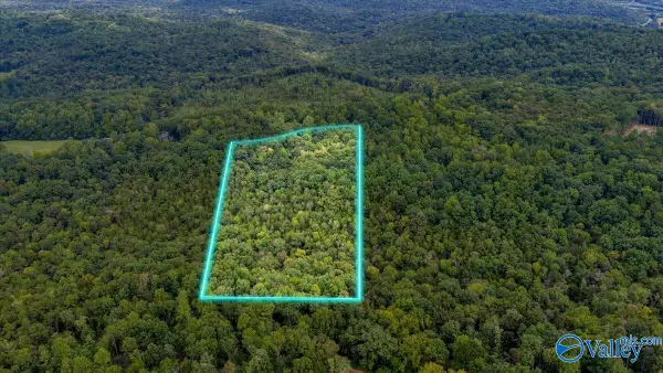 15 acres Fish Trap Road, Grant, AL 35747
