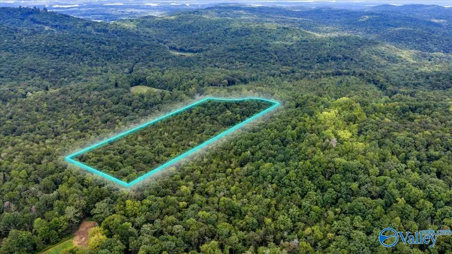15 acres Fish Trap Road, Grant, AL 35747 - #2