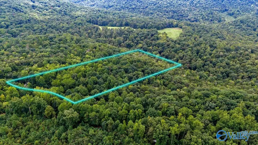 15 acres Fish Trap Road, Grant, AL 35747 - #3