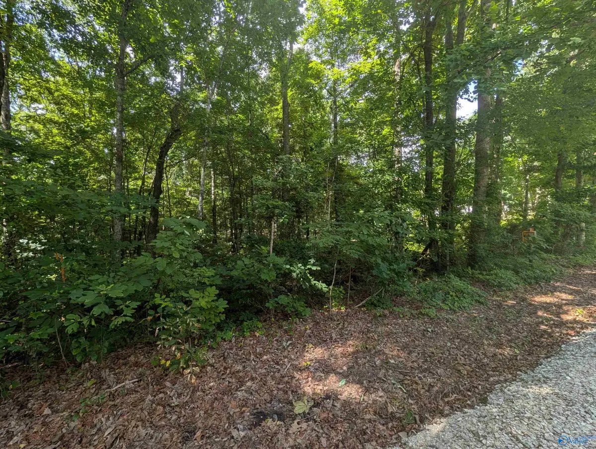 1 Acre Keel Mountain Road, Gurley, AL 35748 - #1