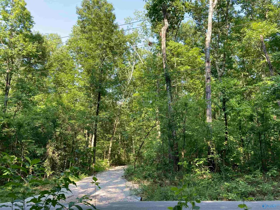 2650 Hickory Hill Road E, Decatur, AL 35603 - #3
