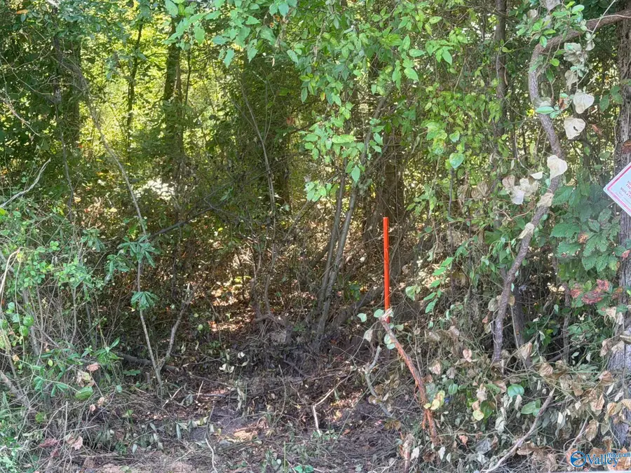 2 acres Kelly Road, Tanner, AL 35671 - #3