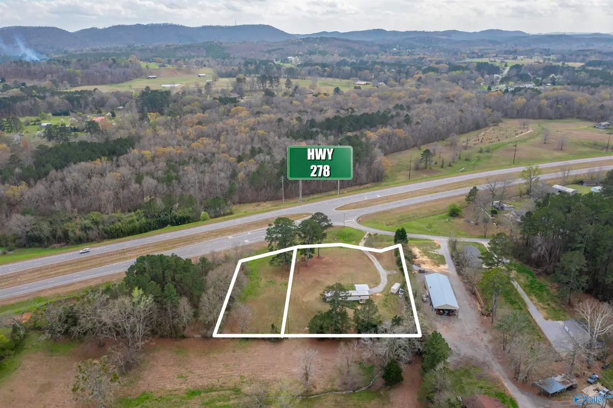 4196 Oak Street, Hokes Bluff, AL 35903 - #1