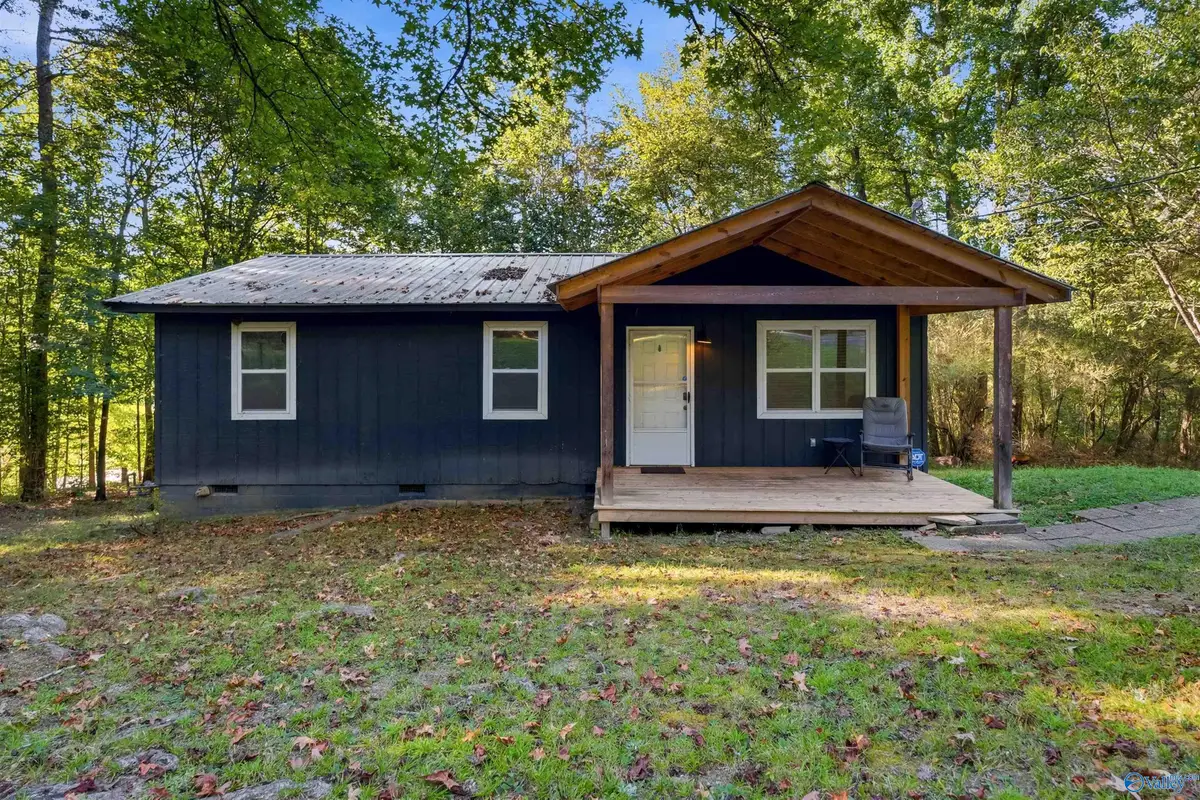 317 Duck Springs Road, Attalla, AL 35954 - #1