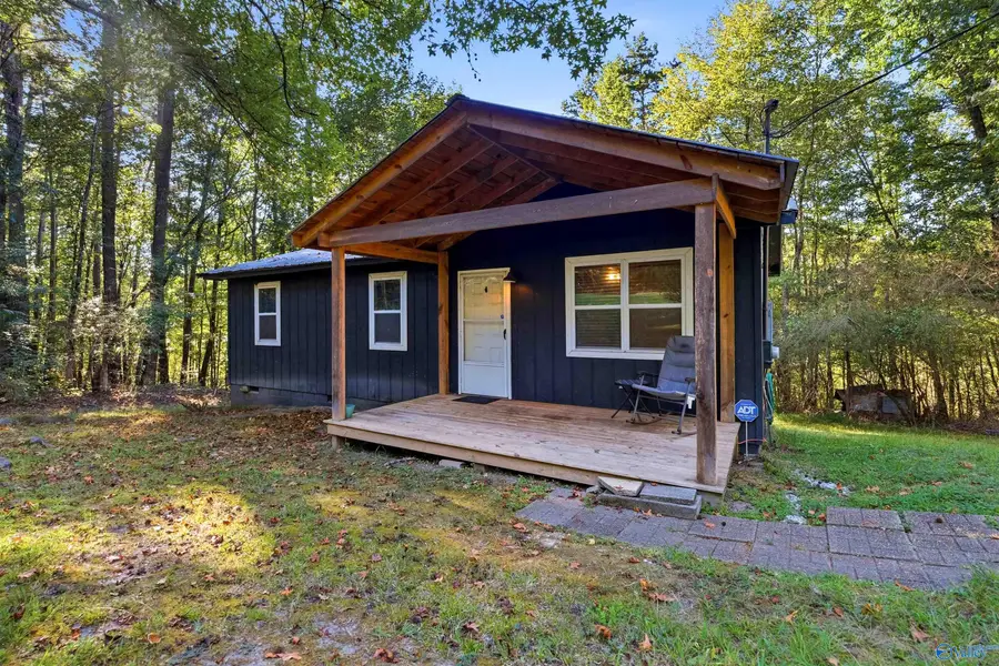 317 Duck Springs Road, Attalla, AL 35954 - #2