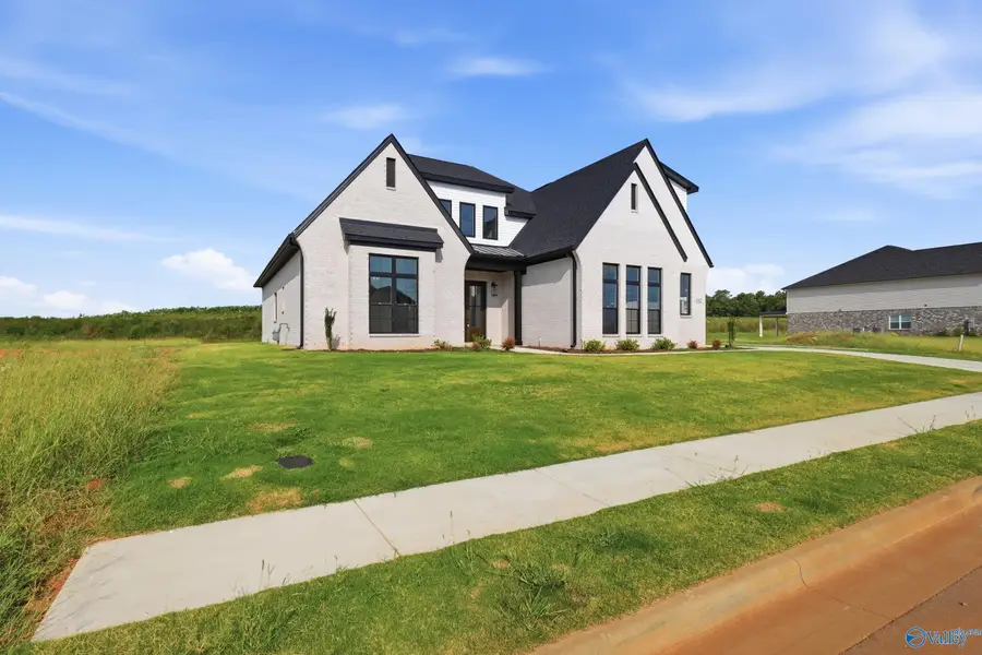 132 Brier View Drive, Meridianville, AL 35759 - #3