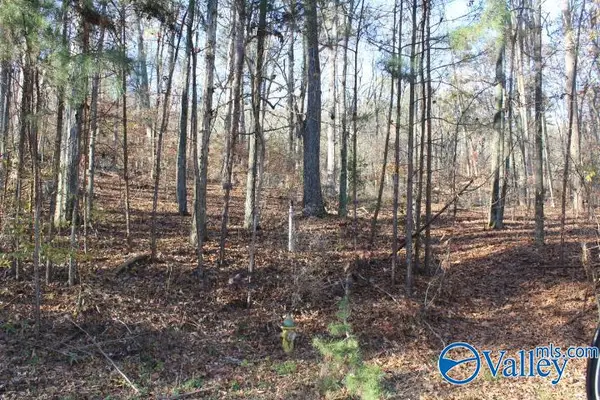 404 Tomahawk Circle, Guntersville, AL 35976