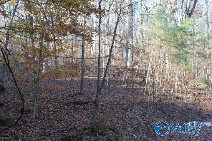404 Tomahawk Circle, Guntersville, AL 35976 - #2