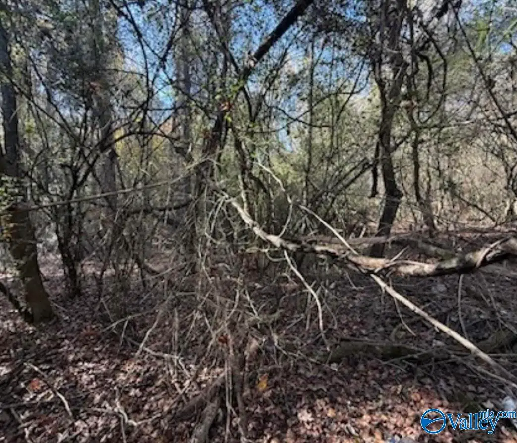 .3 acre lot Hine Street South, Athens, AL 35611 - #1