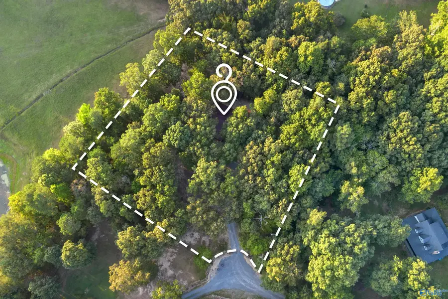 106 County Road 1917, Fort Payne, AL 35967 - #3