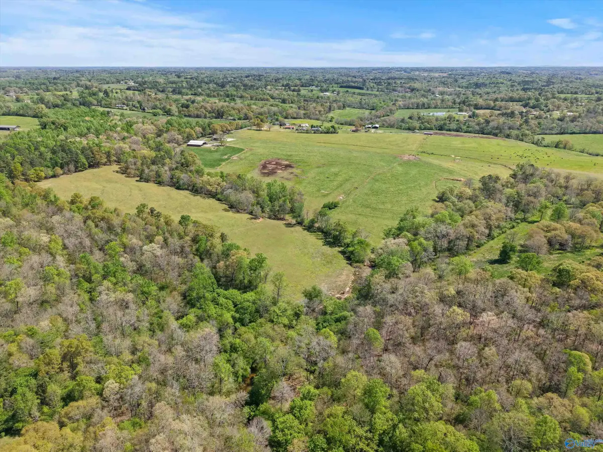 121 - 144 acres Sumners Road, Horton, AL 35980 - #1