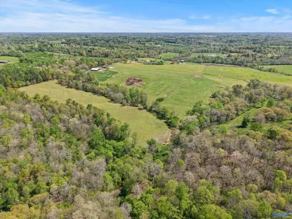 121 - 144 acres Sumners Road, Horton, AL 35980
