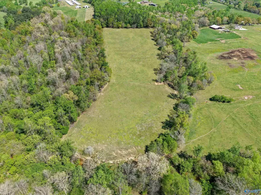 121 - 144 acres Sumners Road, Horton, AL 35980 - #2