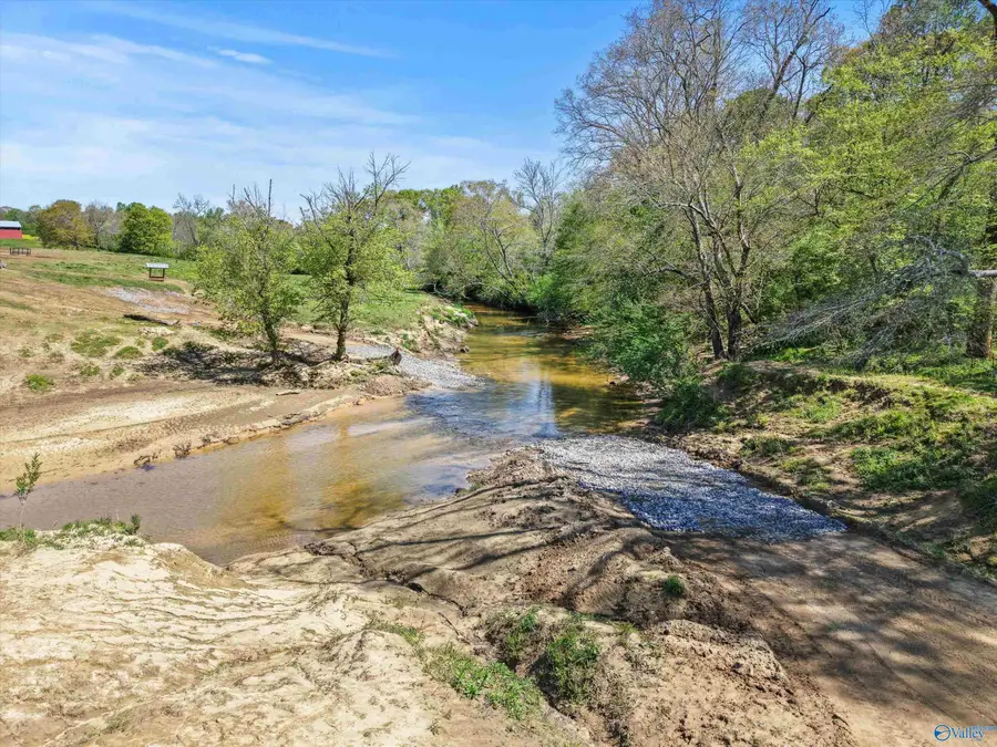 23 ACRES Horton Road, Horton, AL 35980 - #3
