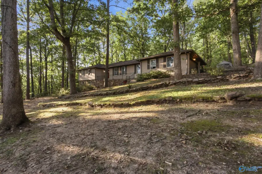 2806 Burningtree Mountain Road Se, Decatur, AL 35603 - #2