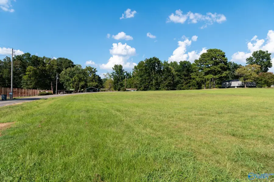 379 S Dabney Lane #Lot 10, Rogersville, AL 35652 - #3
