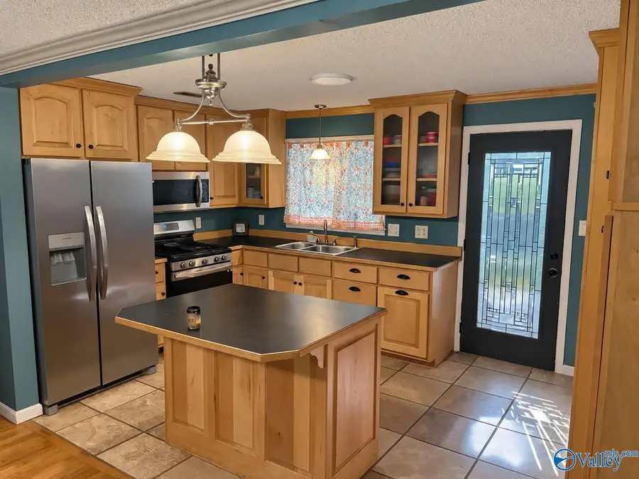 2729 County Road 43, Section, AL 35771 - #3