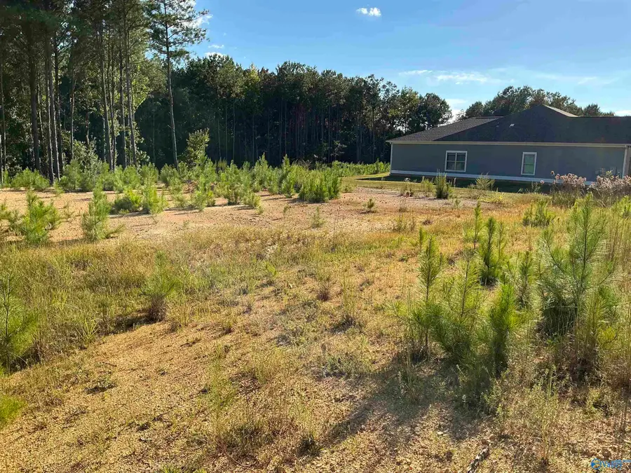 1599 Mckesie Street, Riverside, AL 35135 - #2