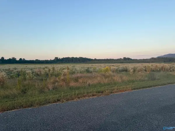 Tract 35 County Road 32, Centre, AL 35960