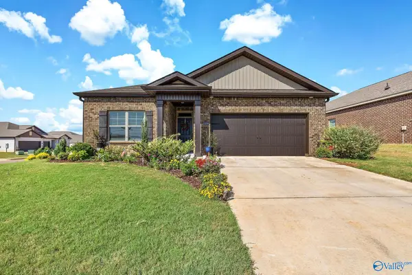13209 New Foal Lane Nw, Madison, AL 35756