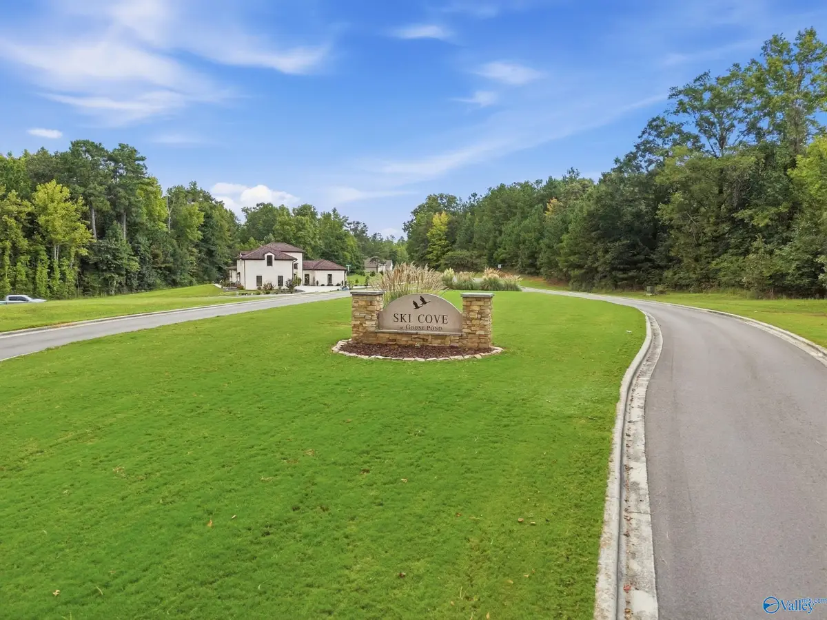 LOT 11 Pruett Circle, Scottsboro, AL 35769 - #1