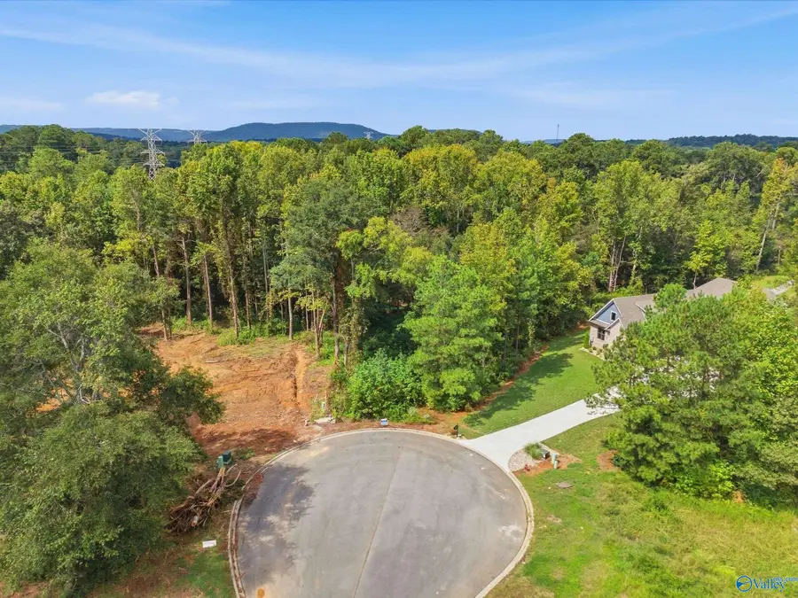 LOT 11 Pruett Circle, Scottsboro, AL 35769 - #2
