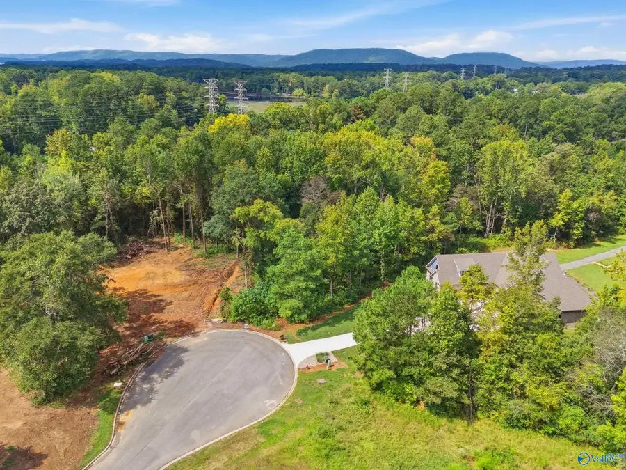 LOT 11 Pruett Circle, Scottsboro, AL 35769 - #3