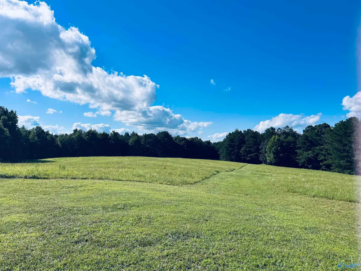 160 +/- ACRES County Road 1201, Vinemont, AL 35179 - #1