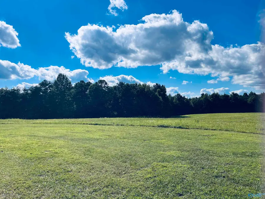 160 +/- ACRES County Road 1201, Vinemont, AL 35179 - #2