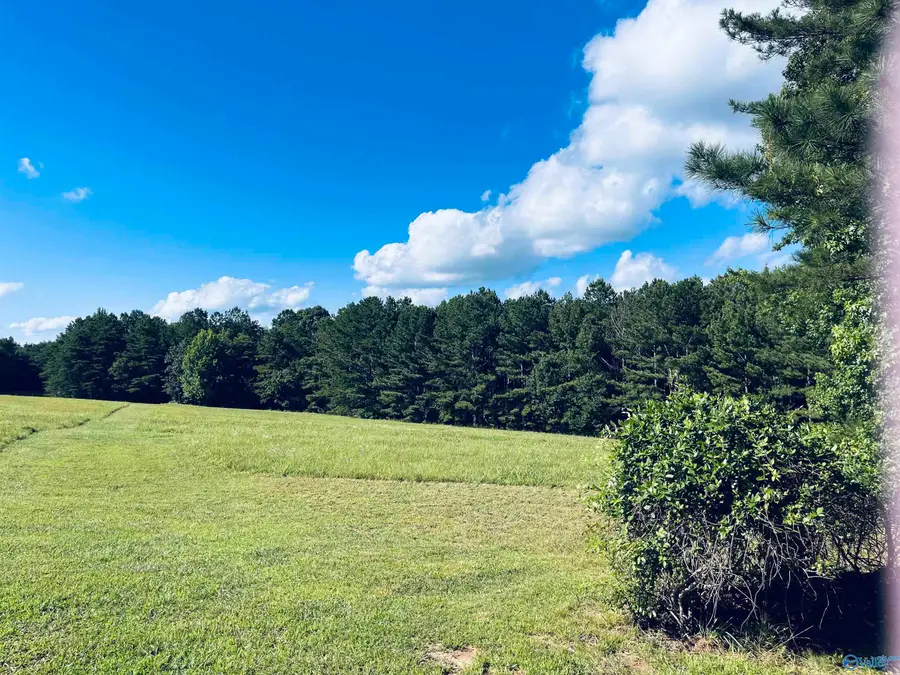 160 +/- ACRES County Road 1201, Vinemont, AL 35179 - #3