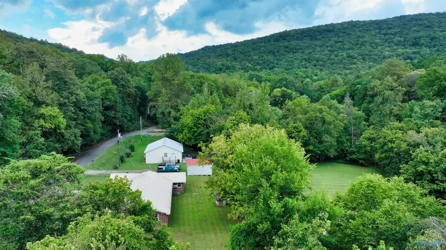 2544 County Road 119, Woodville, AL 35776 - #3