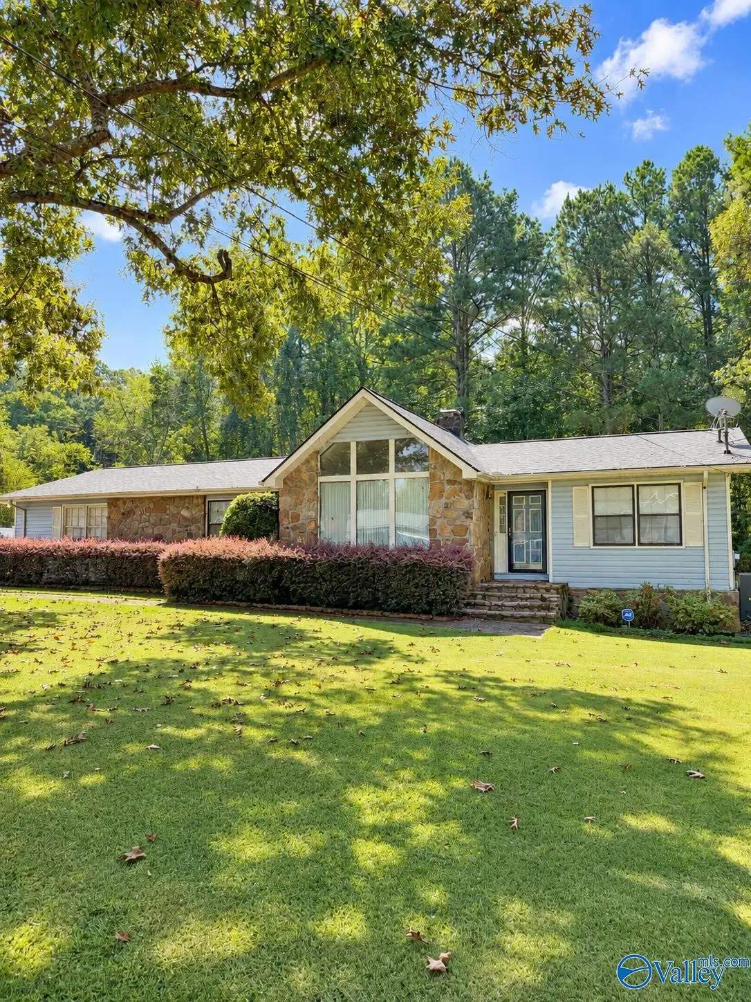 51 Vine Street, Piedmont, AL 36272 - #1