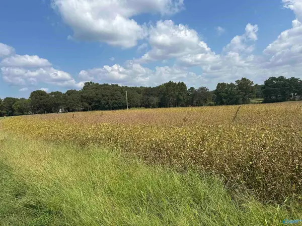 1929 North Carlisle Street, Albertville, AL 35951