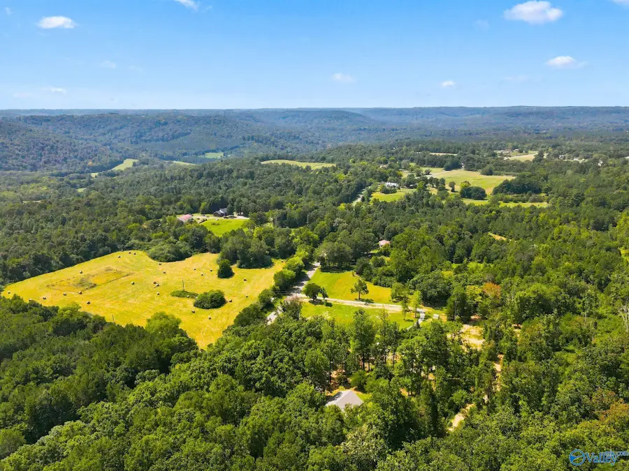 2688 Lawrence Cove Road, Eva, AL 35621 - #2