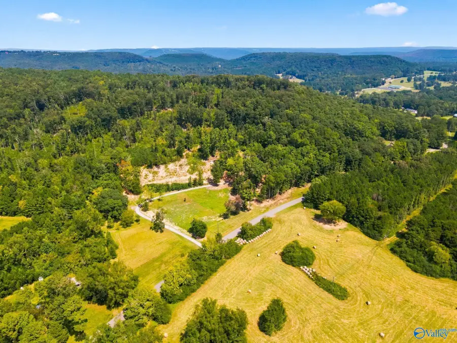 2688 Lawrence Cove Road, Eva, AL 35621 - #3