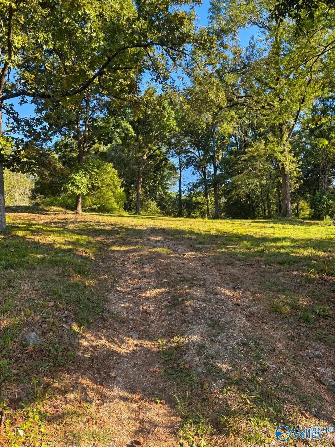 705 Agricola Drive, Gadsden, AL 35904 - #1