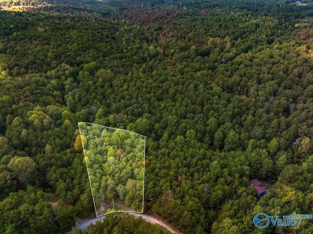 TRACT 20A Road 9002, Mentone, AL 35984 - #1
